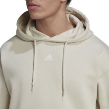 adidas Bluza z kapturem Essentials Feelvivid Bawełna aluminium szary Męski